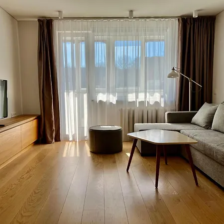Modern To Relax And Work