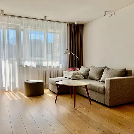 Modern To Relax And Work 빌뉴스